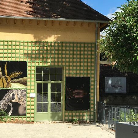 Charmante Maison Bourguignonne Avec Grand Jardin Et Parking Montbard Zewnętrze zdjęcie