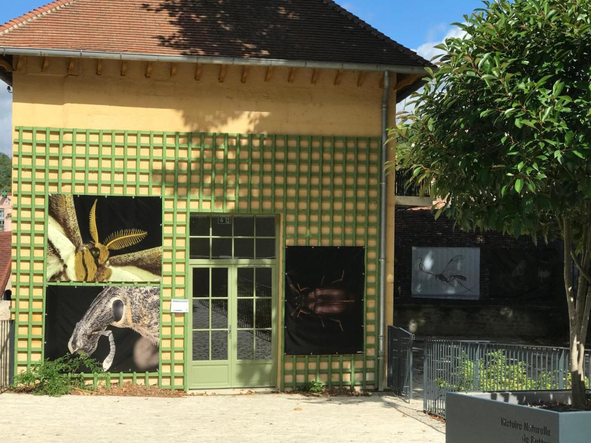 Charmante Maison Bourguignonne Avec Grand Jardin Et Parking Montbard Zewnętrze zdjęcie